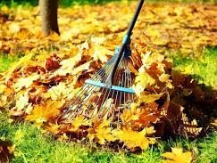 Fall/Spring Clean-Up in Allen, TX