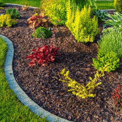 Landscaping in Fairview TX