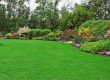 Landscape Design and Installation in Allen, TX